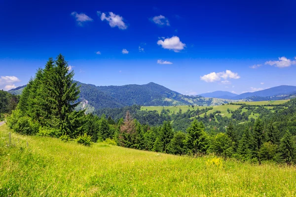 Vista montanha do prado verde no verão — Fotografia de Stock