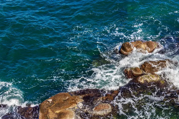 Seagul kijken naar de golven en spatten rond gehouwen glad zee steen — Stockfoto