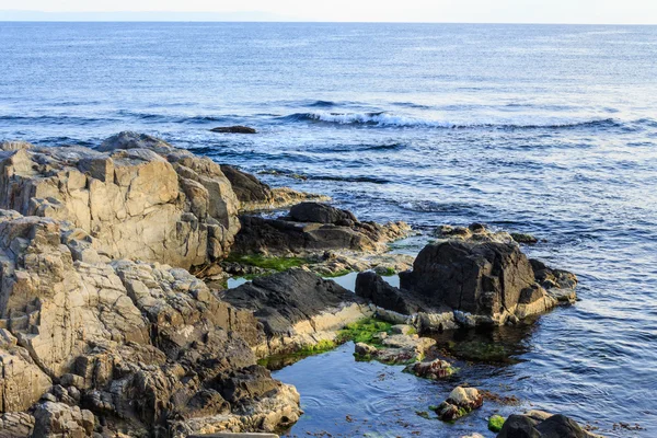 Rotsachtige kust met zeewier — Stockfoto