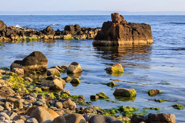 Rotsachtige zee kust horizon met zeewier — Stockfoto