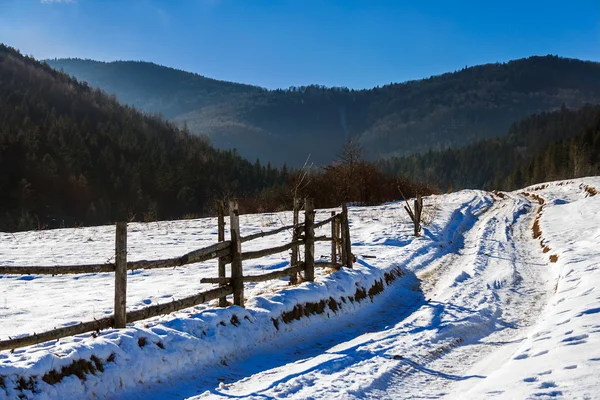 Camino nevado al bosque de coníferas en las montañas —  Fotos de Stock