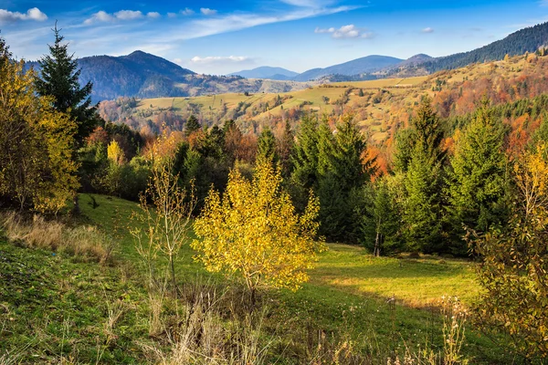 Paisaje de montaña otoñal con bosque mixto —  Fotos de Stock