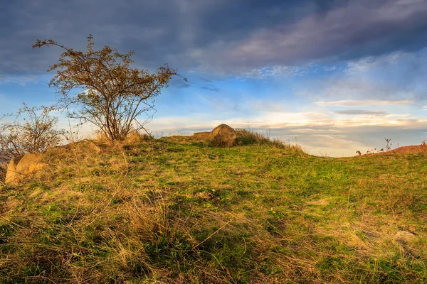 Autumn wild rose and stone on a yellowed hill — Stock Photo, Image