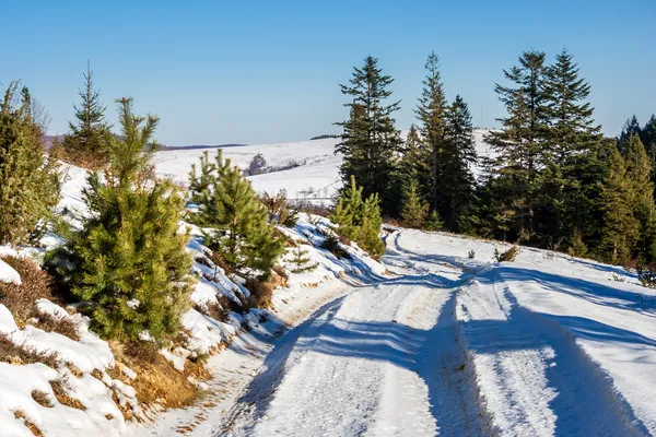 Δέντρα κατά μήκος του δρόμου σε βουνό το χειμώνα — Φωτογραφία Αρχείου