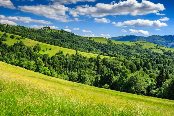 Paysage avec champs et forêt à flanc de colline — Photo