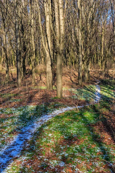 Snöiga vägen nära gröna gräsmattan med visset löv på hösten — Stockfoto