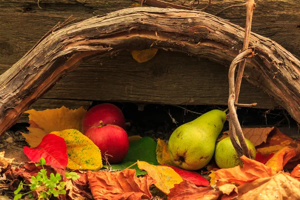 Natura morta autunnale con frutta in foglie a bordo e vitigni backgr — Foto Stock