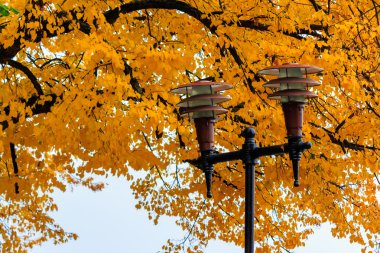 Şehir Parkı yakın bir yeşillik zemin üzerinde fener