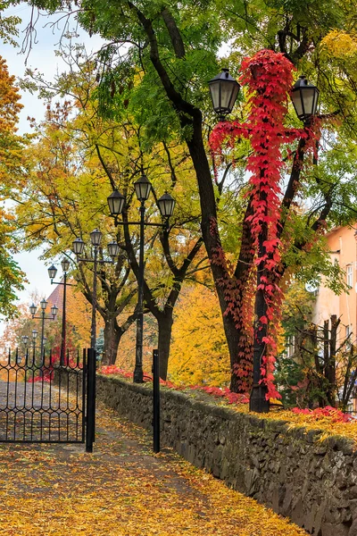 Herbstliches Stadtbild mit Laub und Straßenlaternen — Stockfoto