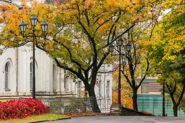 Paysage urbain d'automne après la pluie, avec des arbres jaunis et lampadaire — Photo