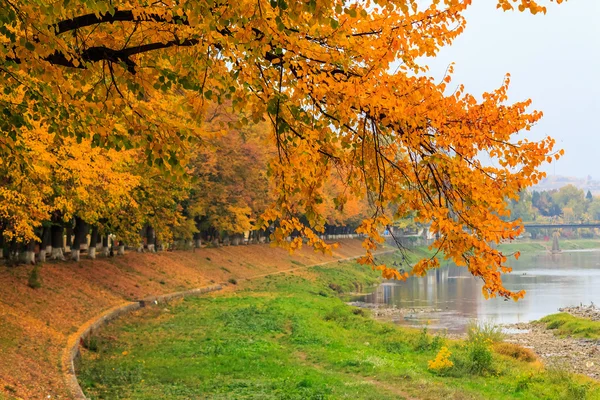 Urban waterfront med gula gren över floden — Stockfoto