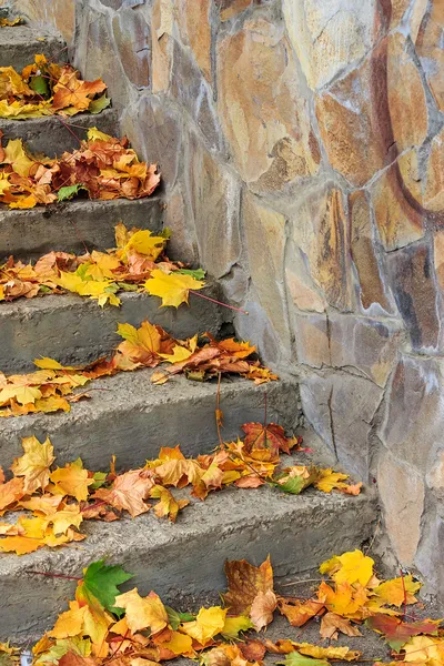 Steps on a town square covered with foliage — Stock Photo, Image