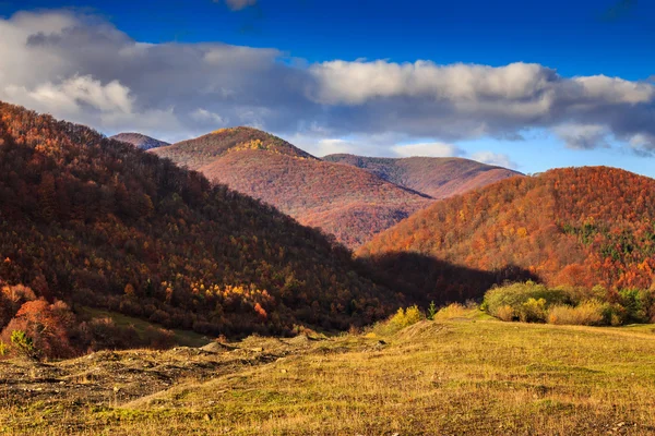 Paisaje de montaña de otoño con hojas de bosque rojo y amarillo — Foto de Stock