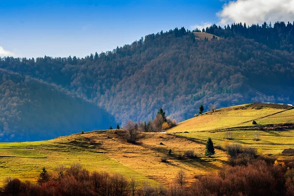 Kozalaklı hillside dağın zirvesinde sonbahar forest yakınındaki toprakları — Stok fotoğraf