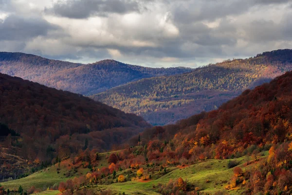 Paisaje de montaña de otoño con hojas de bosque rojo y amarillo — Foto de Stock