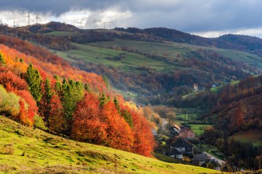 Kırmızı ve sarı orman ile sonbahar hillside