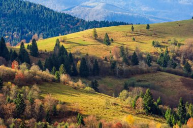 sonbahar dağ çayır çimen ve sabah li karma orman