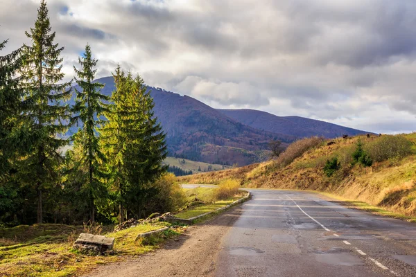 Sabah bulutlu gökyüzü ile iğne yapraklı orman yakınlarındaki dağ yolu — Stok fotoğraf