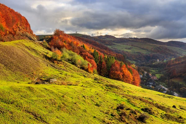 Autumn hillside with pine and Colorful foliage aspen trees near — Stock Photo, Image