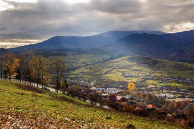 ışık demeti ile sonbahar dağ ormanda hillside düşüyor