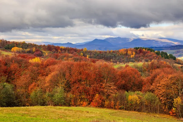 Herfst heuvel met pijnbomen en kleurrijke gebladerte aspen bomen in de buurt van — Stockfoto