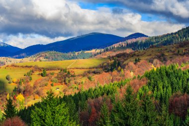 Kırmızı ve sarı orman ile sonbahar hillside