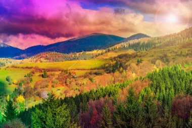 ışık demeti ile sonbahar dağ ormanda hillside düşüyor