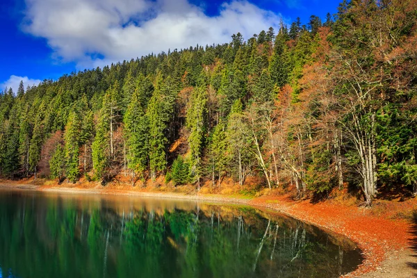 Outono Montanha lago em floresta de coníferas — Fotografia de Stock