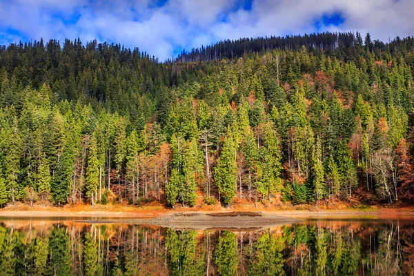 Осеннее горное озеро в хвойных лесах — стоковое фото