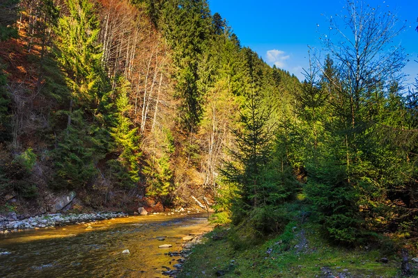Río fluye por la orilla rocosa cerca del bosque de montaña de otoño —  Fotos de Stock