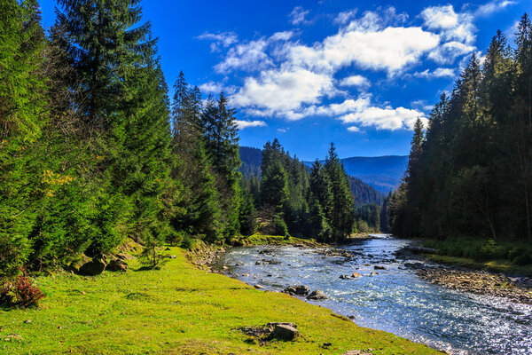 river flows by rocky shore near the autumn mountain forest