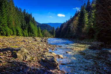 sonbahar dağ orman nehir akar tarafından kayalık sahil yakınındaki