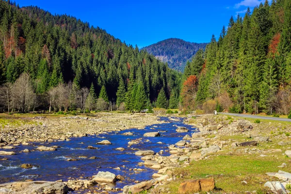 Río fluye por la orilla rocosa cerca del bosque de montaña de otoño — Foto de Stock