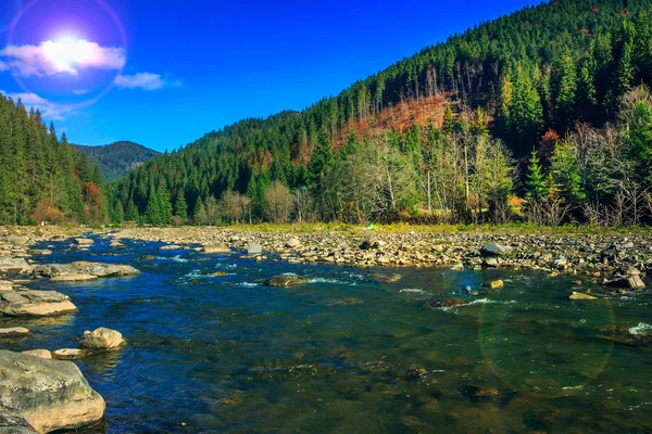 Sungai mengalir oleh pantai berbatu dekat hutan pegunungan musim gugur — Stok Foto
