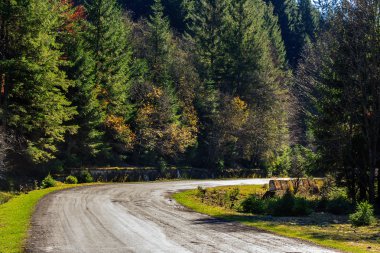 Sabah bulutlu gökyüzü ile iğne yapraklı orman yakınlarındaki dağ yolu