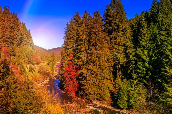 Fluss fließt am felsigen Ufer in der Nähe des herbstlichen Bergwaldes — Stockfoto