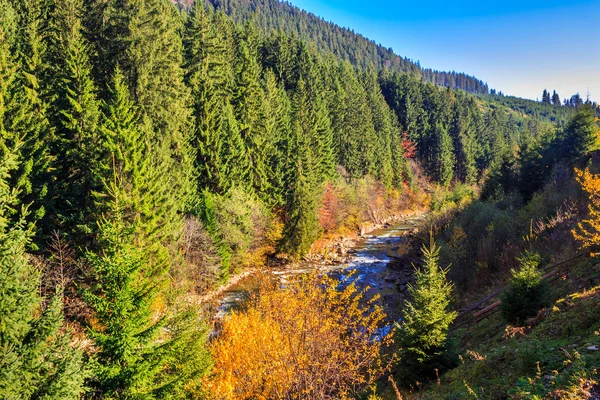 Rzeka przepływa przez skalisty brzeg w pobliżu jesień las górski — Zdjęcie stockowe