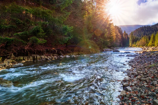 Річка тече скелястим берегом біля осіннього гірського лісу — стокове фото