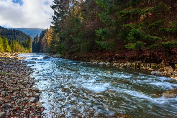 Río fluye por la orilla rocosa cerca del bosque de montaña de otoño —  Fotos de Stock