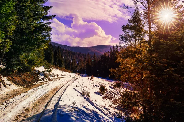 Strada innevata alla foresta di conifere in montagna — Foto Stock