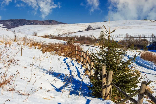 Zaun an der Straße zum verschneiten Wald in den Bergen — Stockfoto