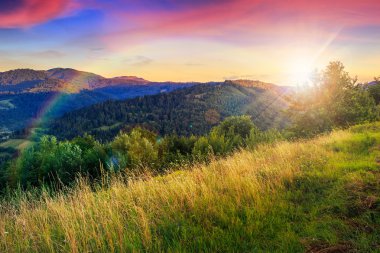 highland ilk kirişler