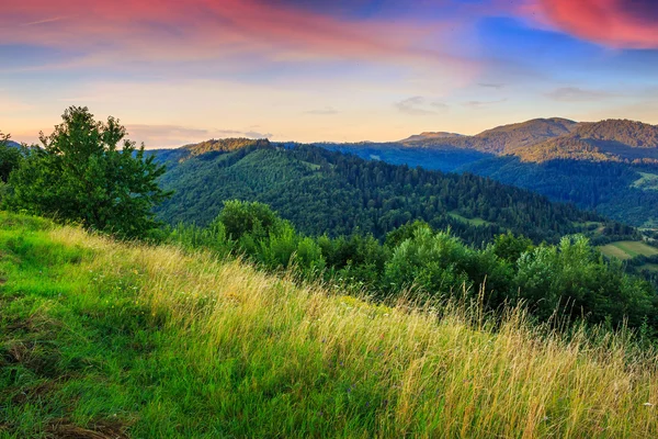 Premières poutres dans les hautes terres — Photo