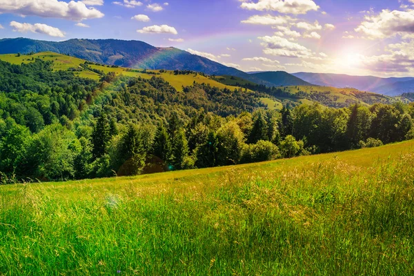 Premiers rayons dans la vallée de montagne l'été — Zdjęcie stockowe