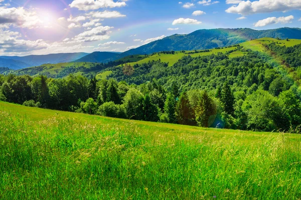 Eerste balken in de zomer highland vallei — Stockfoto