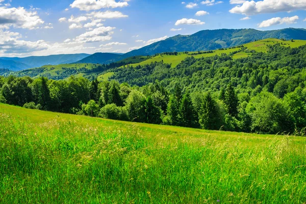 Premiers rayons dans la vallée de montagne l'été — Zdjęcie stockowe