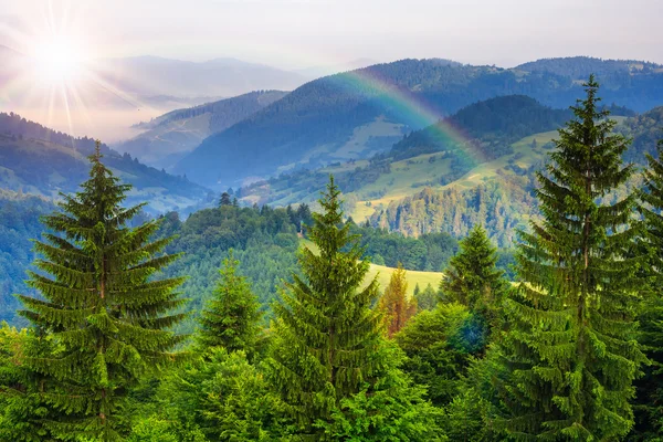 Kiefern in Talnähe in den Bergen und Herbstwald am Hang — Stockfoto