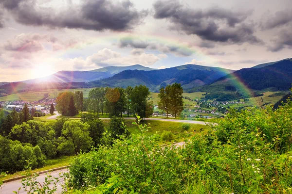 Forest on a steep mountain slope — Stock Photo, Image