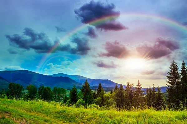 Foresta su un ripido pendio di montagna — Foto Stock