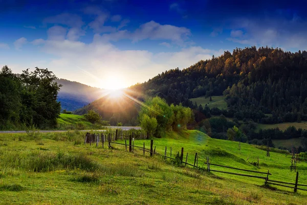 Mountain road near the coniferous forest with cloudy morning sky — Stock Photo, Image